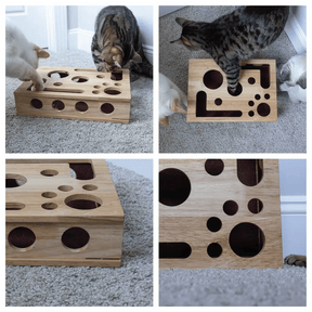 PawPuzzle – Cat Enrichment Scratch & Play Box