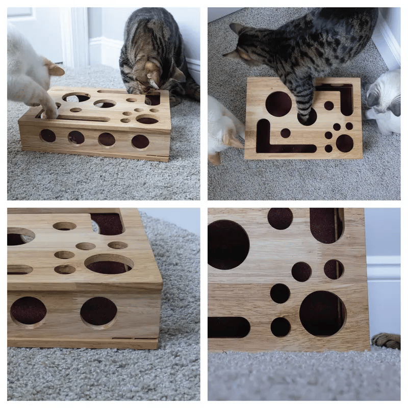 PawPuzzle – Cat Enrichment Scratch & Play Box