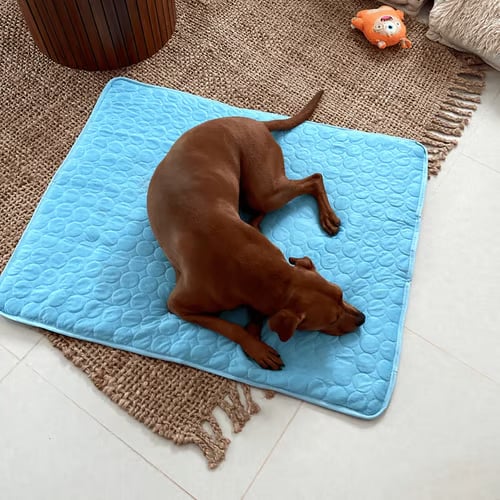 PawBreeze – Instant Cooling Pet Mat