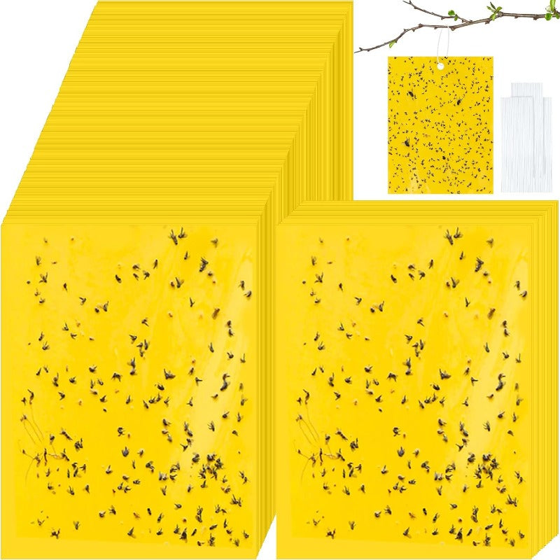 InsectLock – Ultra Sticky Pest Traps