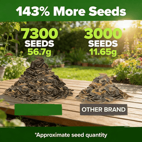 PurePetal – Zinnia Seeds for Vibrant Heirloom Flowers