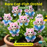FloraRare – Catfish Orchid Seed Pack