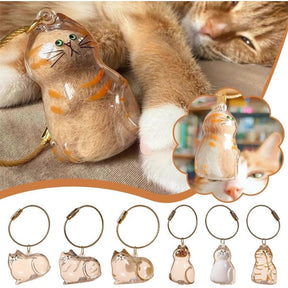 PawMemory – Cat Memorial Keychain Set