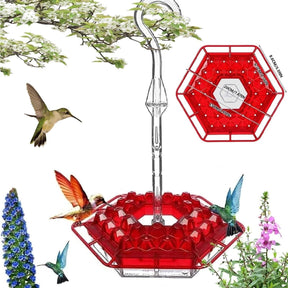 BirdBliss - Hanging Hummingbird Feeder
