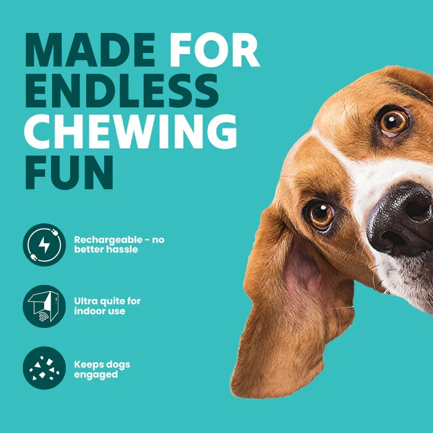 AuraBuddy – The Chase Buddy Smart Bouncing Dog Toy