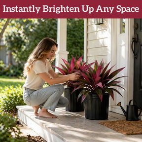 EverLeaf – Realistic Artificial Ti Plant Decor