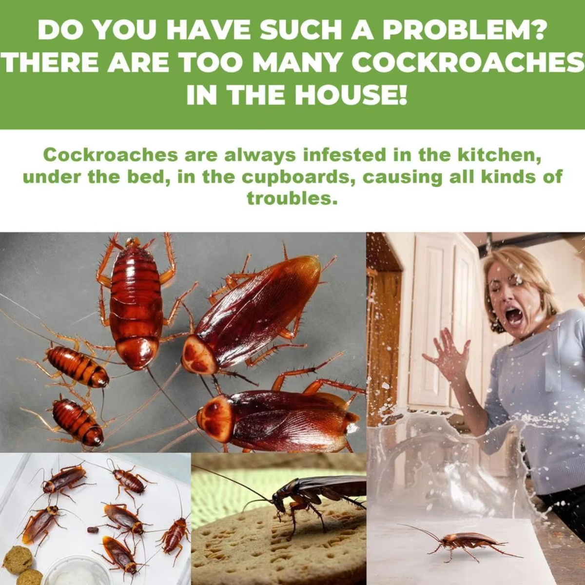 InsectBarrier – Roach Control Solution