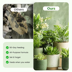 BloomFuel – Plant Growth Formula