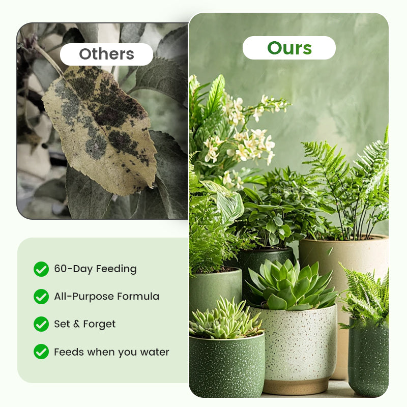 BloomFuel – Plant Growth Formula