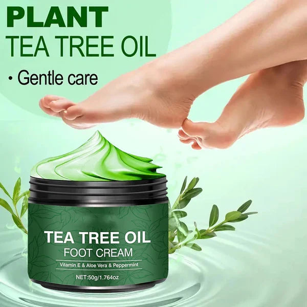 AloeSoothe – Aloe Vera & Tea Tree Foot Moisturizer