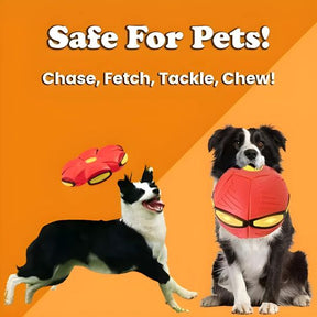 The World's Best 2-in-1 Interactive Toy To Keep Your Dog Entertained For Hours!
