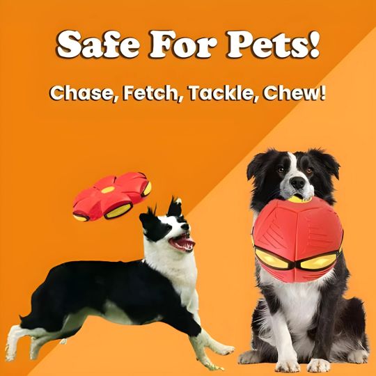 The World's Best 2-in-1 Interactive Toy To Keep Your Dog Entertained For Hours!