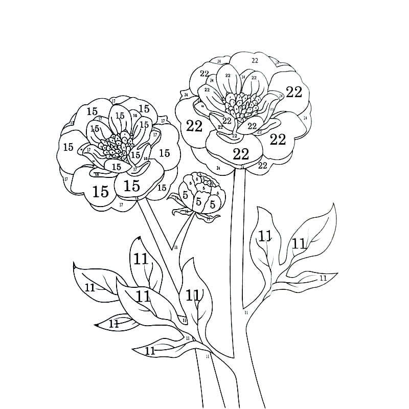 QuietCanvas – Therapeutic Coloring Book for Adults