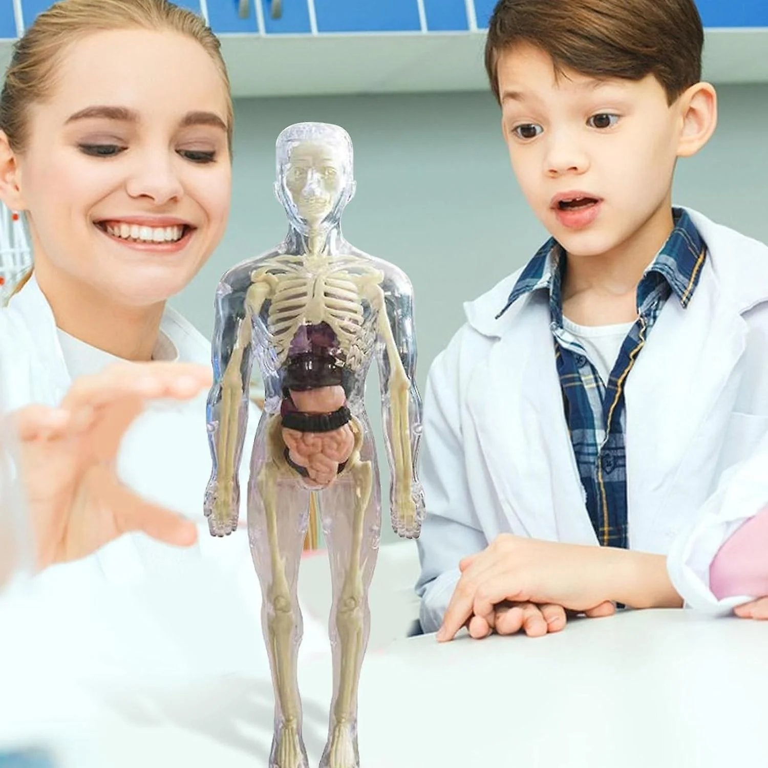 SmartSkeleton – Fun Stem Anatomy Model for Kids