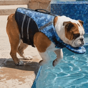 AquaPaw – High Buoyancy Dog Life Jacket