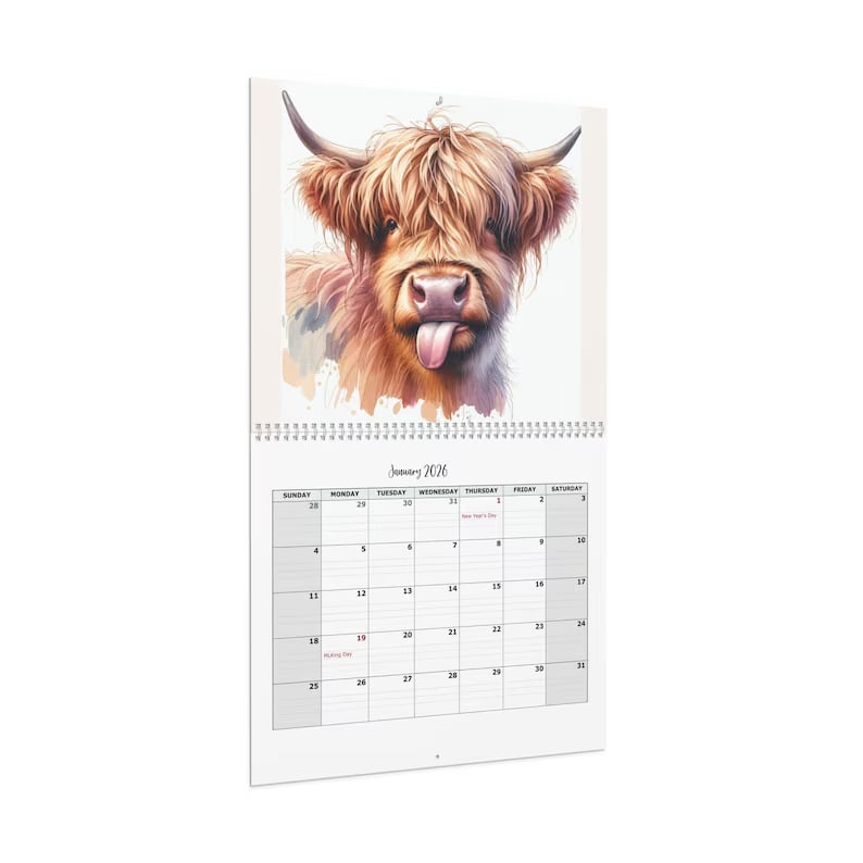 HighlandHugs – 2026 Cute Highland Cow Wall Calendar