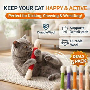 WhiskerFun – Multi Cat Swab Toy Set