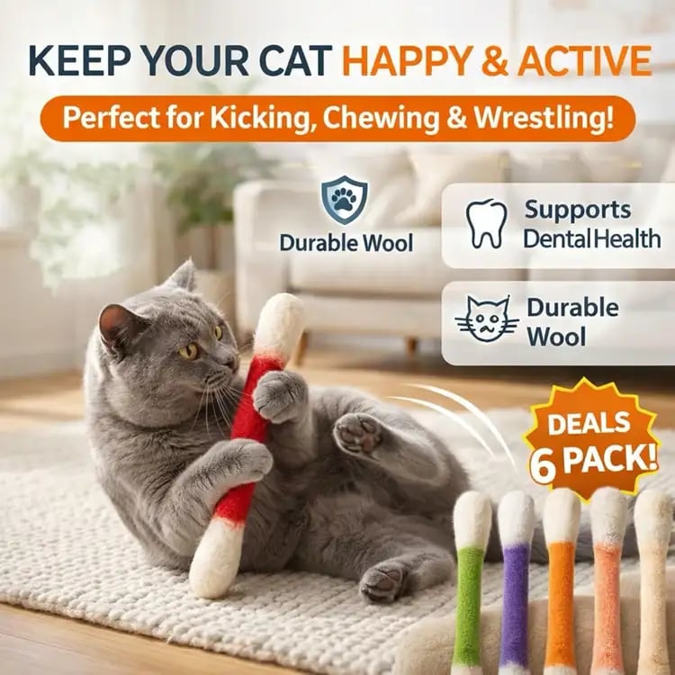 WhiskerFun – Multi Cat Swab Toy Set