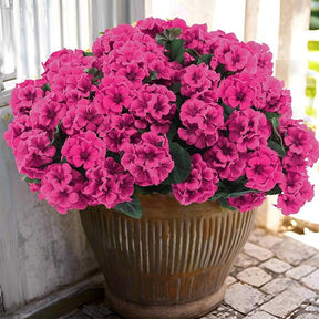 EverBloom – Artificial Geranium Outdoor Flowers