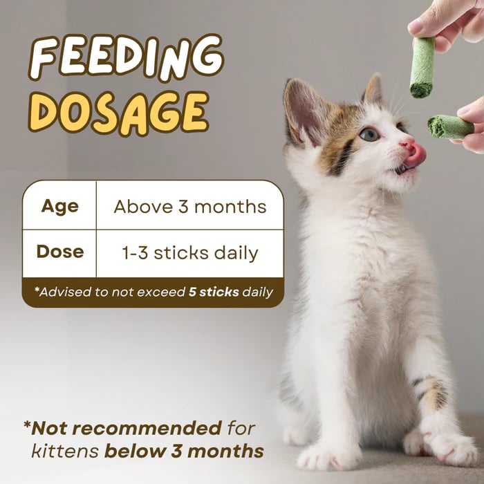 PurrChew – Natural Cat Grass Chew Sticks