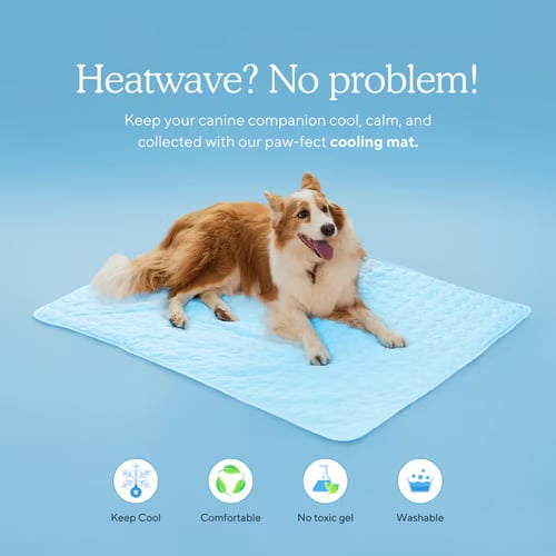 PawBreeze – Instant Cooling Pet Mat