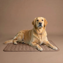 PolarComfort – Breathable Pet Cooling Bed