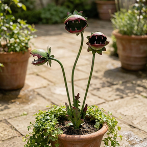 GardenWhim – Carnivorous Plant Metal Garden Stake