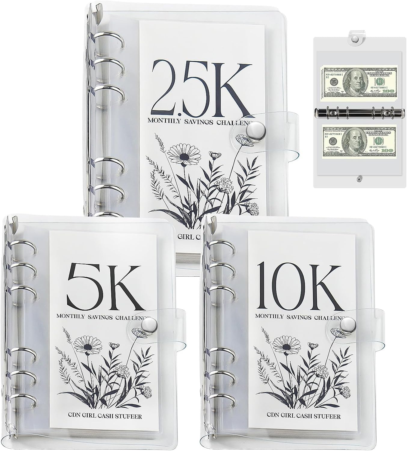 SaveWise – 12-Month Envelope Money Saving Challenge Binder