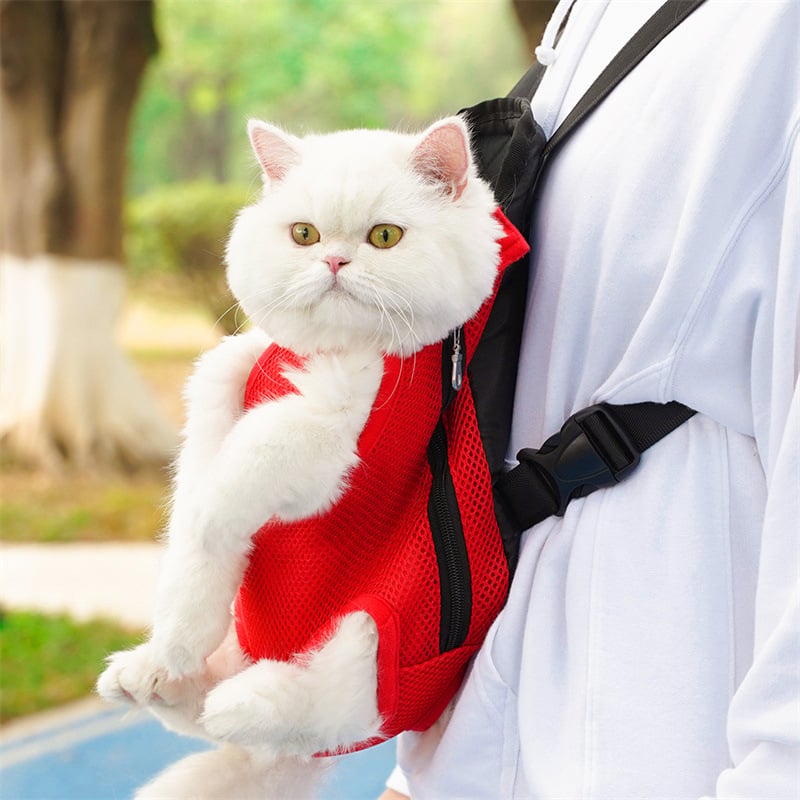 PawVoyage – Pet Travel Leg-Out Backpack