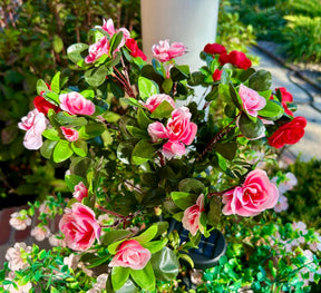 LumaBloom – EverGlow Memorial Garden Lights