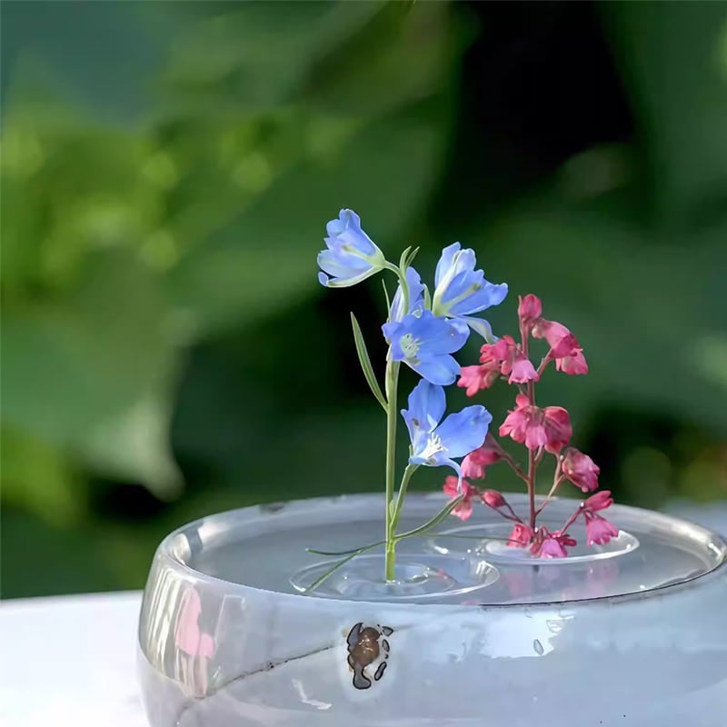 FloraFloat – Creative Floating Floral Arrangement Holder