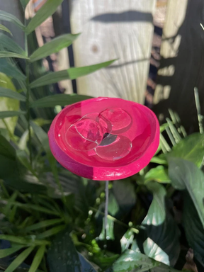 BeeHaven – Pollinator-Friendly Insect & Butterfly Drinking Cups