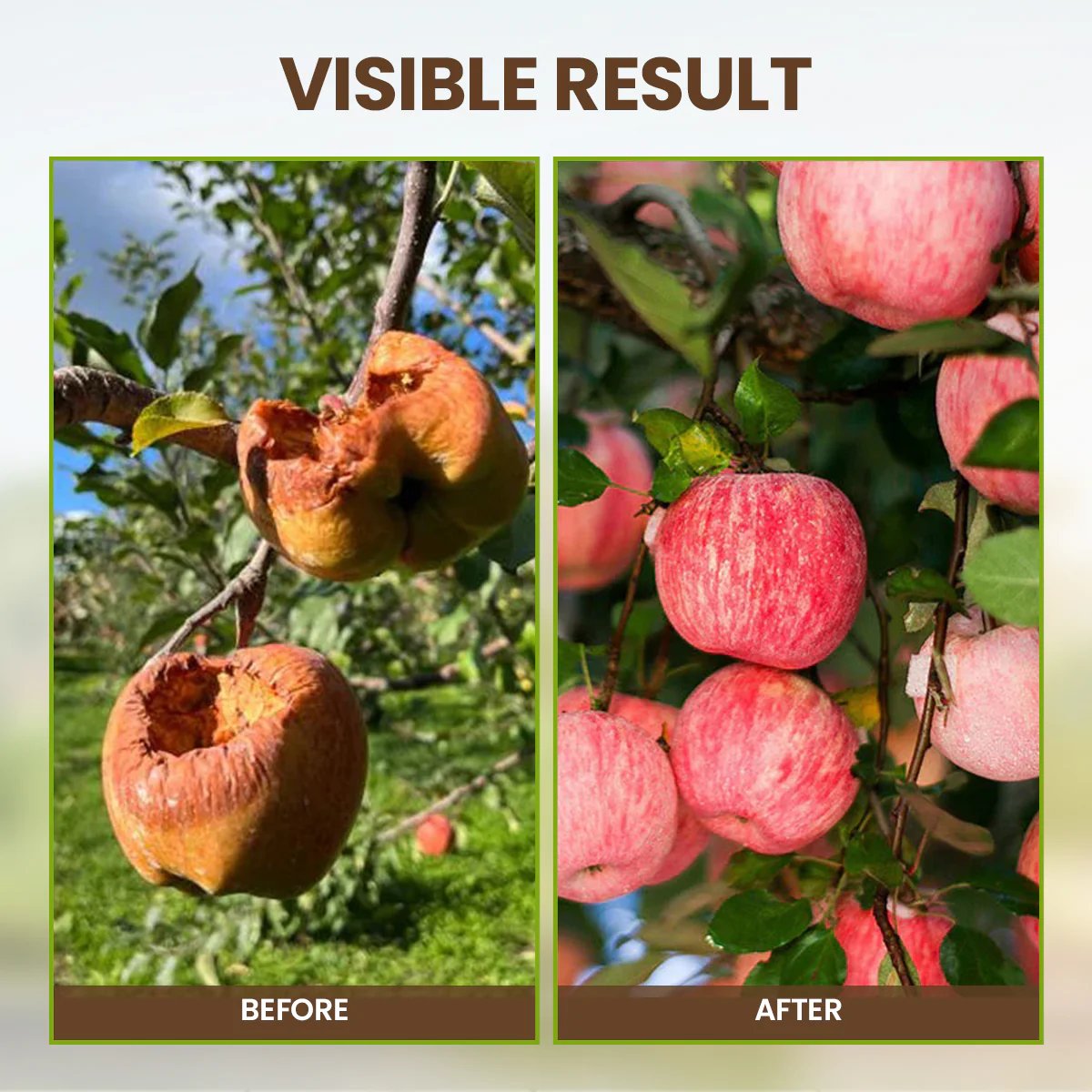 SoilNova – Soil Pro Activator