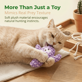 CatnipCove - Cactus Play Toy Collection