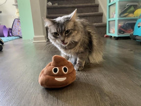 SqueezeBoo – Poop Plush Gag Toy