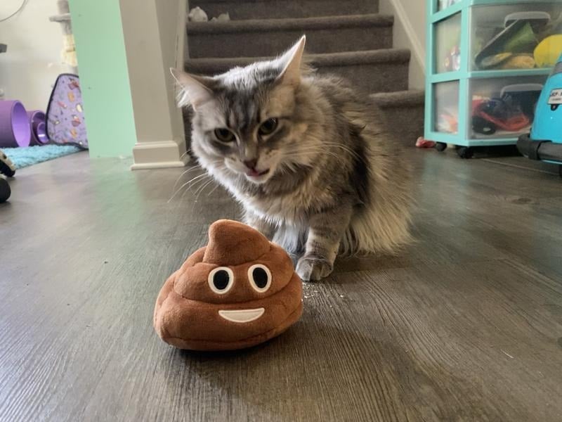 SqueezeBoo – Poop Plush Gag Toy