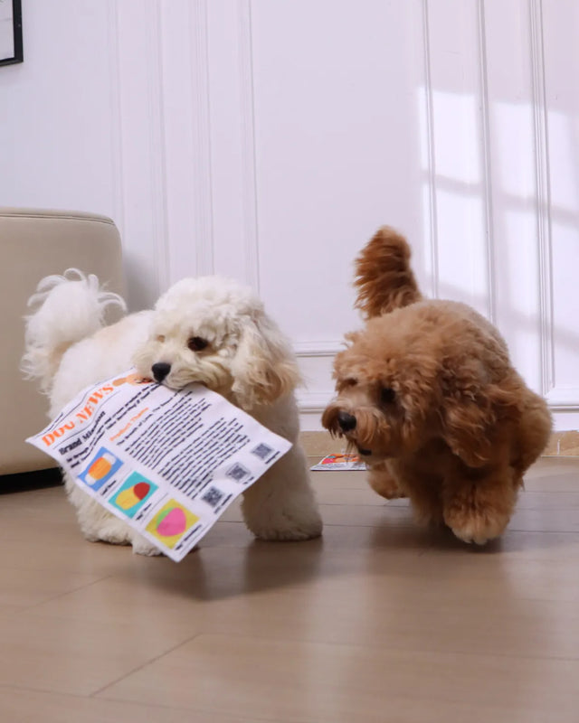 PupChronicle – Interactive Dog Toy