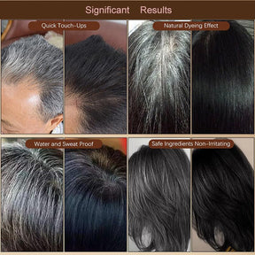 GreyGone – Hair Touch-Up Stick for Quick Grey Root Coverage