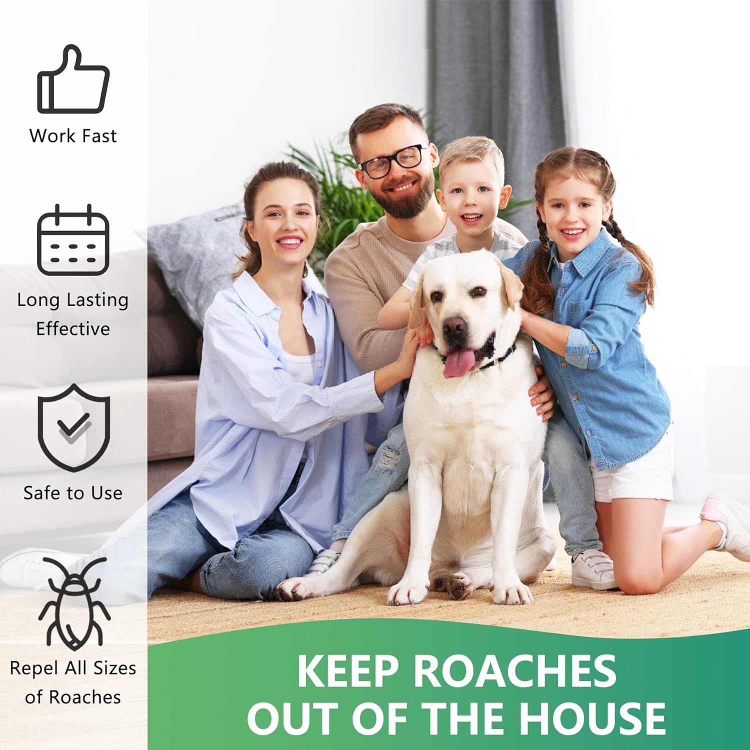 InsectBarrier – Roach Control Solution