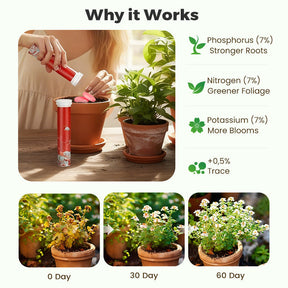BloomFuel – Plant Growth Formula