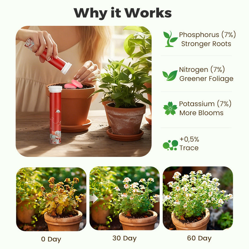 BloomFuel – Plant Growth Formula