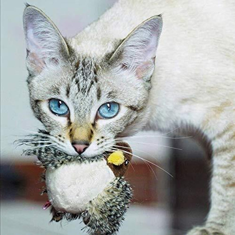 HuntFlap – Interactive Bird Cat Toy