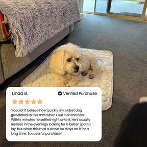 PolarComfort – Breathable Pet Cooling Bed