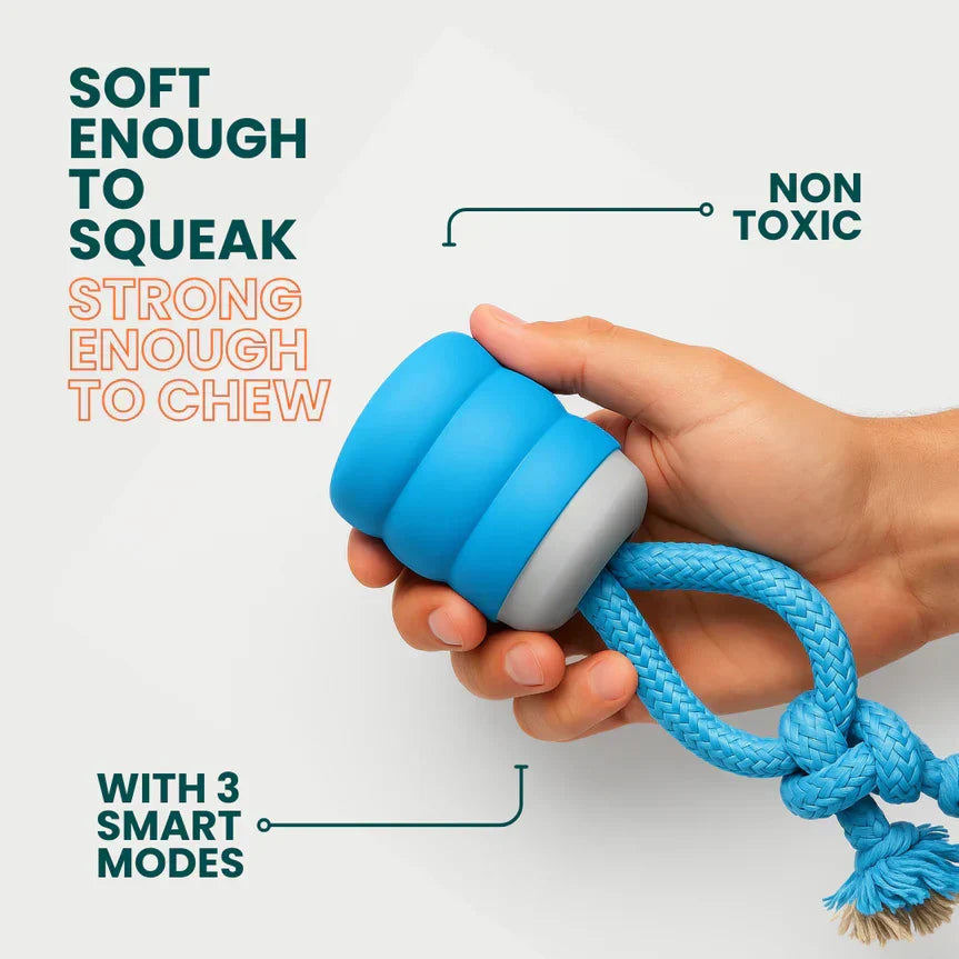 AuraBuddy – The Chase Buddy Smart Bouncing Dog Toy