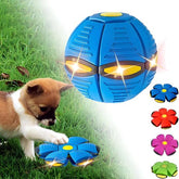 The World's Best 2-in-1 Interactive Toy To Keep Your Dog Entertained For Hours!