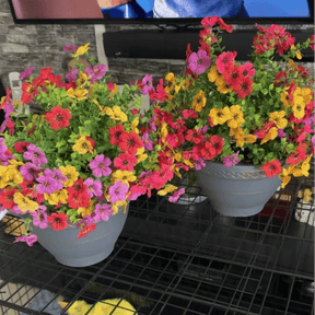VividPetals – All-Weather Floral Set