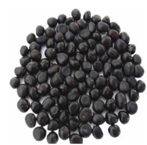 RoyalBloom - Luxurious Peony Flower Seeds | The Queen of Flowers