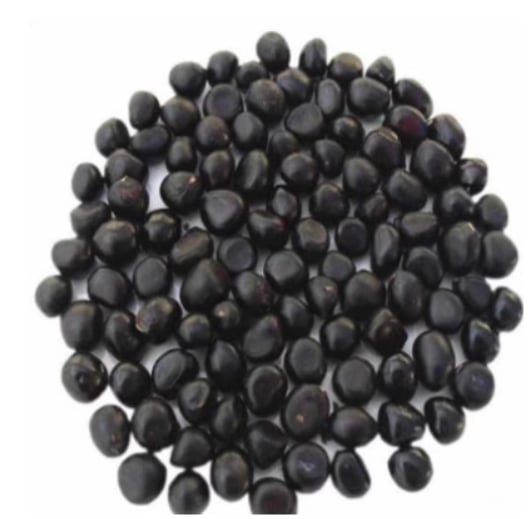 RoyalBloom - Luxurious Peony Flower Seeds | The Queen of Flowers