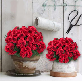 RoseAura – Eternal Geranium Floral Set