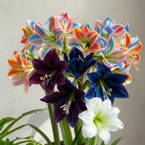FloraCrown – Luxury Flower Bulbs
